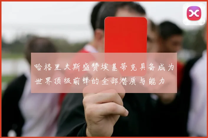 哈格里夫斯盛赞埃基蒂克具备成为世界顶级前锋的全部潜质与能力