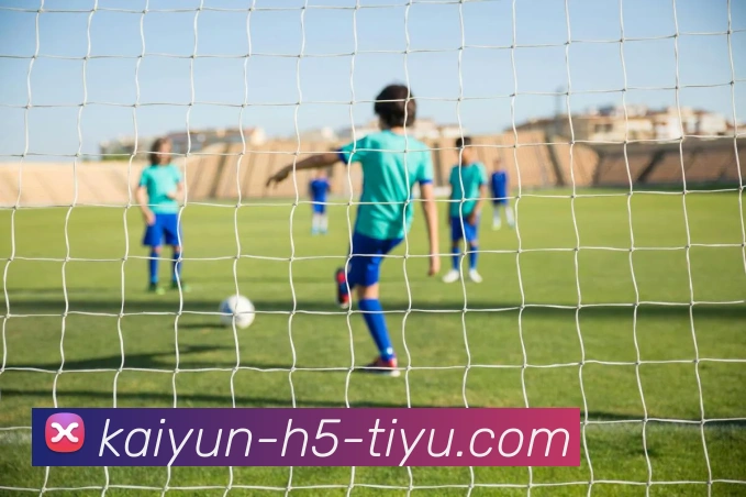 开云体育平台生态图