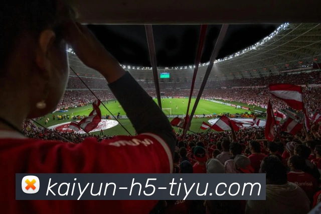 开云体育全站App